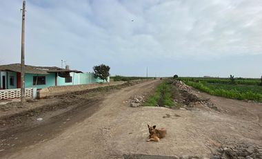 Oportunidad Única: Terreno De 1.23 Hectáreas En Provincia De Chancay