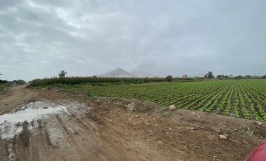 Oportunidad Única: Terreno De 1.23 Hectáreas En Provincia De Chancay