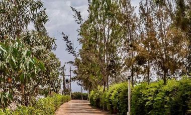 Terreno En Venta – Condominio Privado “El Sueño”