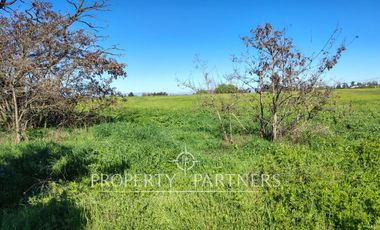 Gran terreno comercial a orilla de carretera
