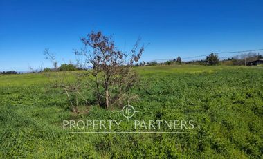 Gran terreno comercial a orilla de carretera