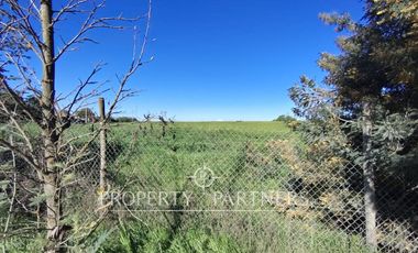 Gran terreno comercial a orilla de carretera
