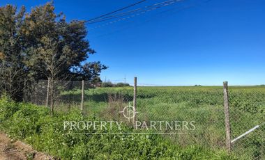 Gran terreno comercial a orilla de carretera