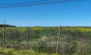 Gran terreno comercial a orilla de carretera