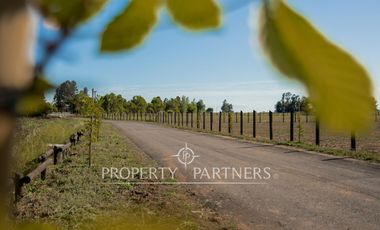 Exclusivas parcelas en prestigioso condominio