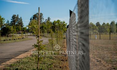 Exclusivas parcelas en prestigioso condominio