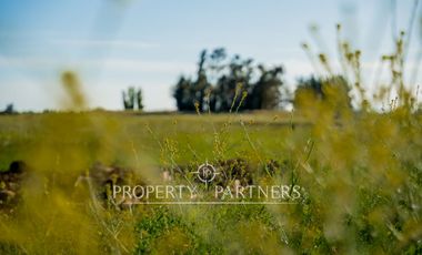 Exclusivas parcelas en prestigioso condominio