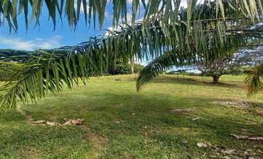 LOTE EN VENTA EN MALABAR CERRITOS/ PEREIRA