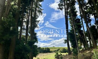 CONDOMINIO LAS QUEMAS