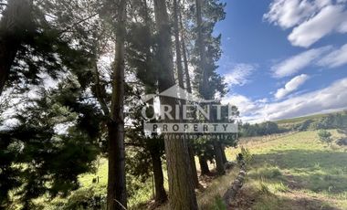 CONDOMINIO LAS QUEMAS