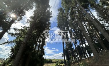 CONDOMINIO LAS QUEMAS