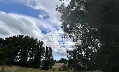 CONDOMINIO LAS QUEMAS