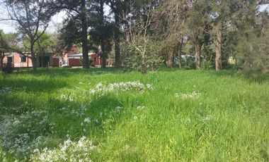 Quinta en venta - 1 Dormitorio 1 Baño - 2000 mts2 - Lobos