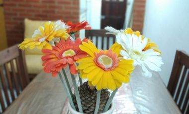 Duplex en venta - 2 dormitorios 2 baños - patio parrilla - 75 mts2  - Mar del Tuyú