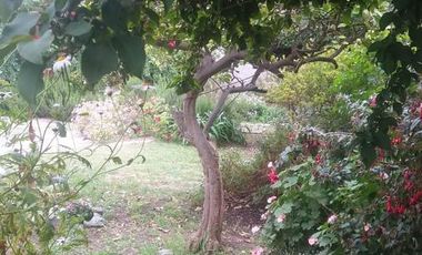 Casa en venta - 2 dormitorios 2 baños - patio - 430 mts2 - Necochea