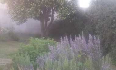 Casa en venta - 2 dormitorios 2 baños - patio - 430 mts2 - Necochea