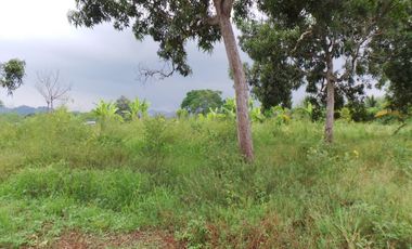Terreno Urbano para Desarrollo – Vía Chone-Boyacá, Chone