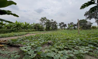 Terreno Urbano para Desarrollo – Vía Chone-Boyacá, Chone