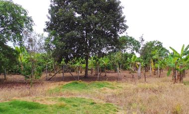 Terreno Urbano para Desarrollo – Vía Chone-Boyacá, Chone