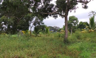 Terreno Urbano para Desarrollo – Vía Chone-Boyacá, Chone