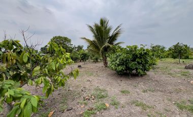 Terreno Urbano para Desarrollo – Vía Chone-Boyacá, Chone