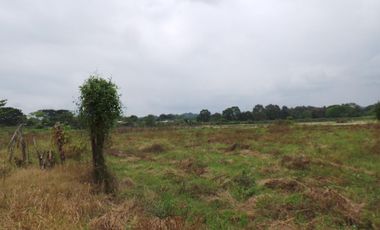 Terreno Urbano para Desarrollo – Vía Chone-Boyacá, Chone