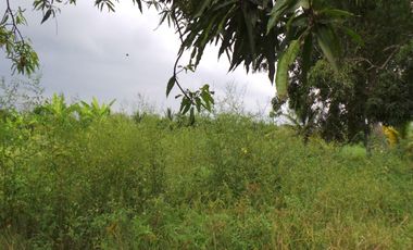Terreno Urbano para Desarrollo – Vía Chone-Boyacá, Chone