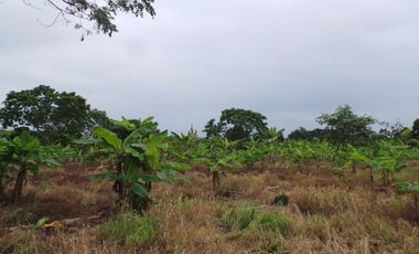 Terreno Urbano para Desarrollo – Vía Chone-Boyacá, Chone