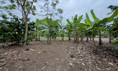 Terreno Urbano para Desarrollo – Vía Chone-Boyacá, Chone