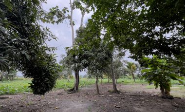 Terreno Urbano para Desarrollo – Vía Chone-Boyacá, Chone