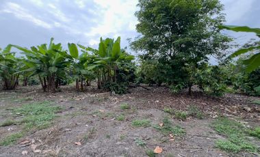 Terreno Urbano para Desarrollo – Vía Chone-Boyacá, Chone
