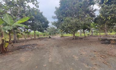 Terreno Urbano para Desarrollo – Vía Chone-Boyacá, Chone