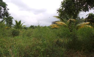 Terreno Urbano para Desarrollo – Vía Chone-Boyacá, Chone