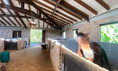 Lote con Pesebreras perfecto para Restaurante