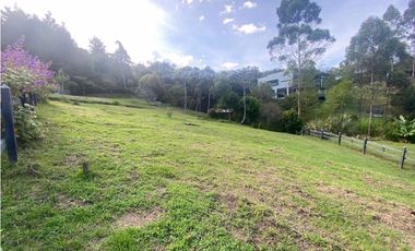 Lote con Pesebreras perfecto para Restaurante