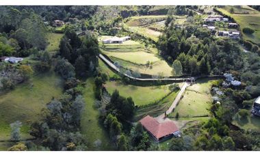Lote con Pesebreras perfecto para Restaurante