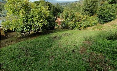 VENTA DE FINCA EN GUARNE VEREDA YOLOMBAL