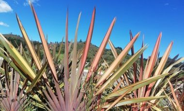 Lote en Venta en El Retiro