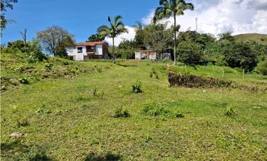 VENDO LOTE EN CANCELES