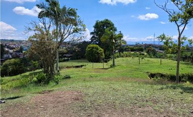 VENDO LOTE EN CANCELES