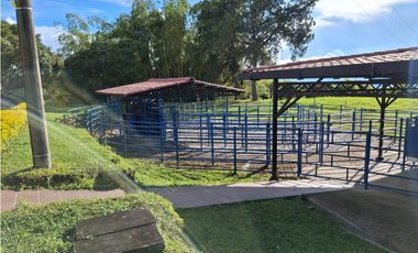 VENDO FINCA MORELIA , EL ESTANQUILLO