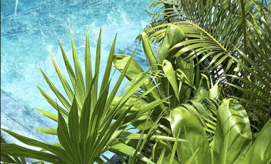 Casa en Venta 3 Habitaciones en Tulum