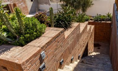 Rancho en VENTA con producción de uva - Valle de Guadalupe
