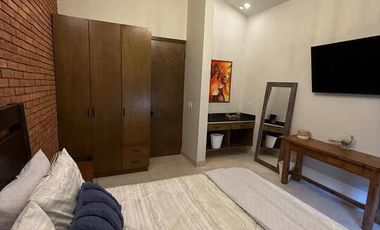 Rancho en VENTA con producción de uva - Valle de Guadalupe