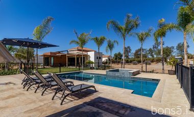 Rancho en VENTA con producción de uva - Valle de Guadalupe