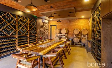 Rancho en VENTA con producción de uva - Valle de Guadalupe