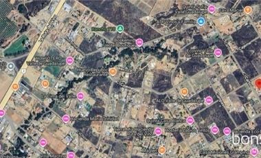 Rancho en VENTA con producción de uva - Valle de Guadalupe