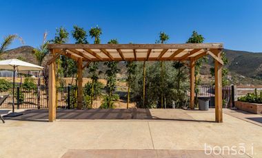 Rancho en VENTA con producción de uva - Valle de Guadalupe