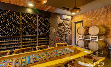 Rancho en VENTA con producción de uva - Valle de Guadalupe