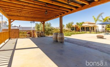Rancho en VENTA con producción de uva - Valle de Guadalupe